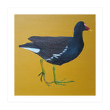 Moorhen (Print Only) thumbnail