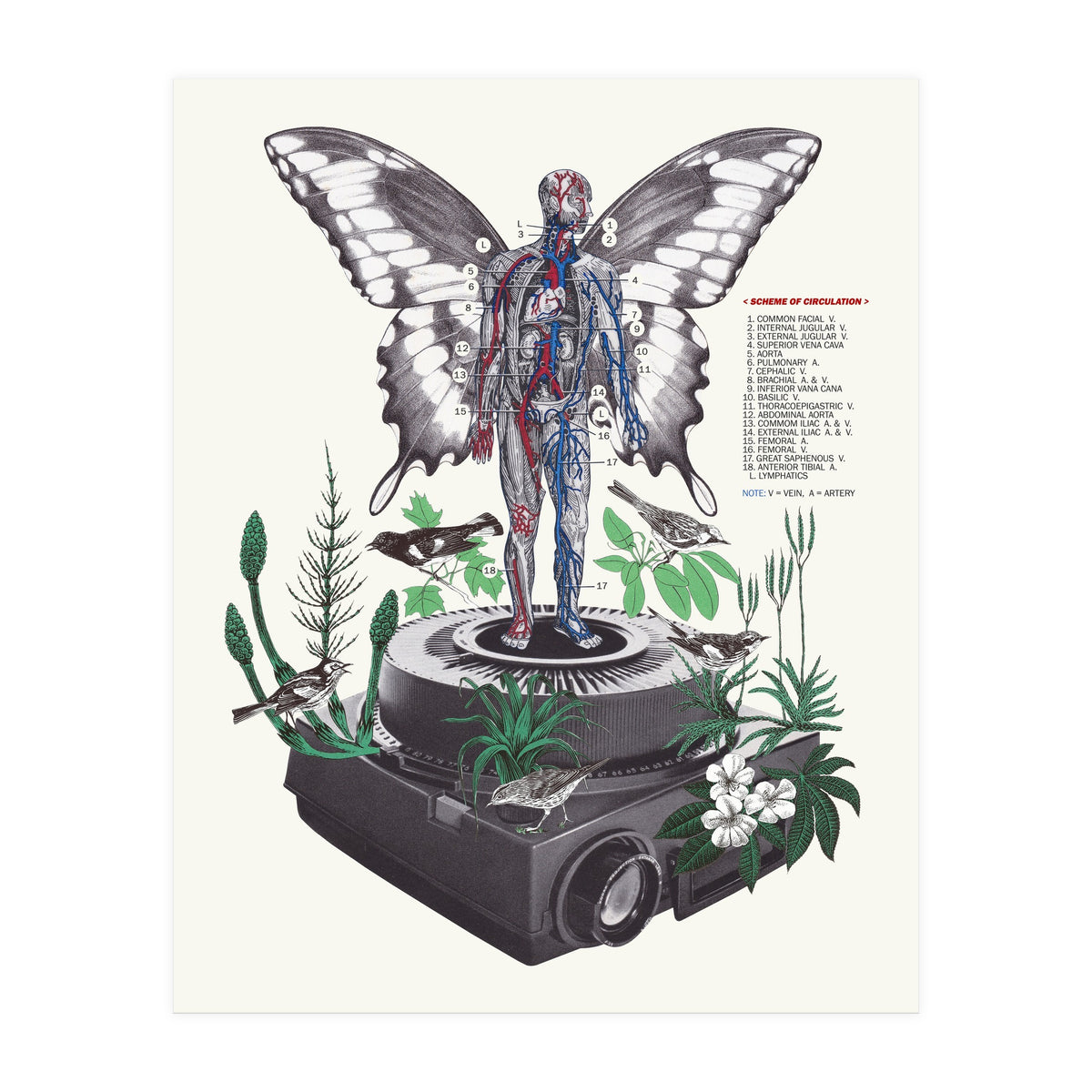 Hologram (Print Only)