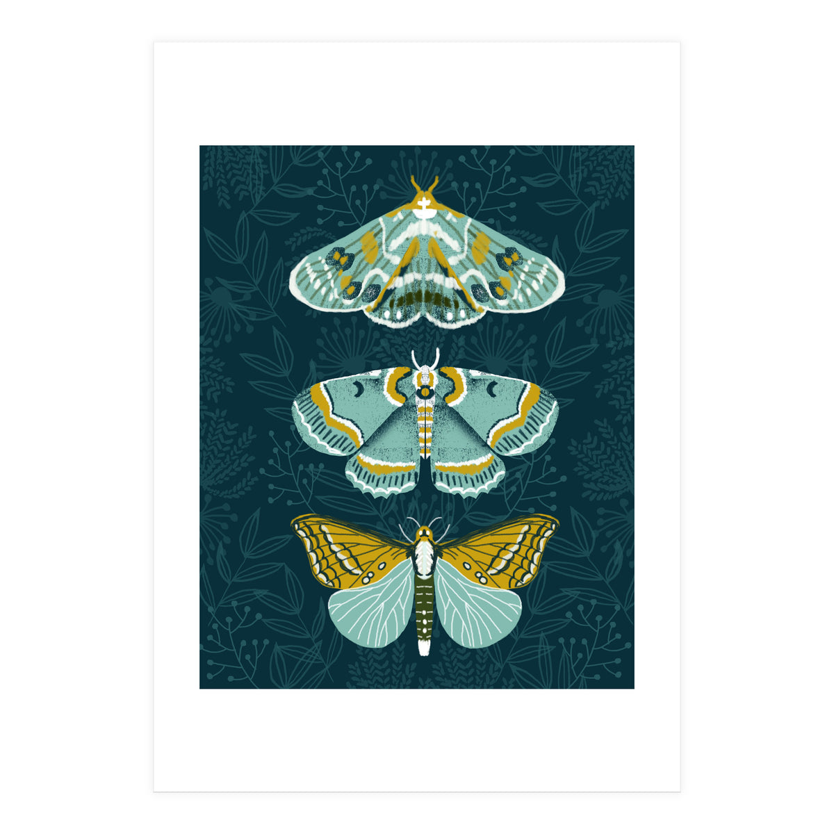 Lepidoptery8 (Print Only)