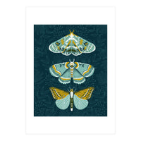 Lepidoptery8 (Print Only)