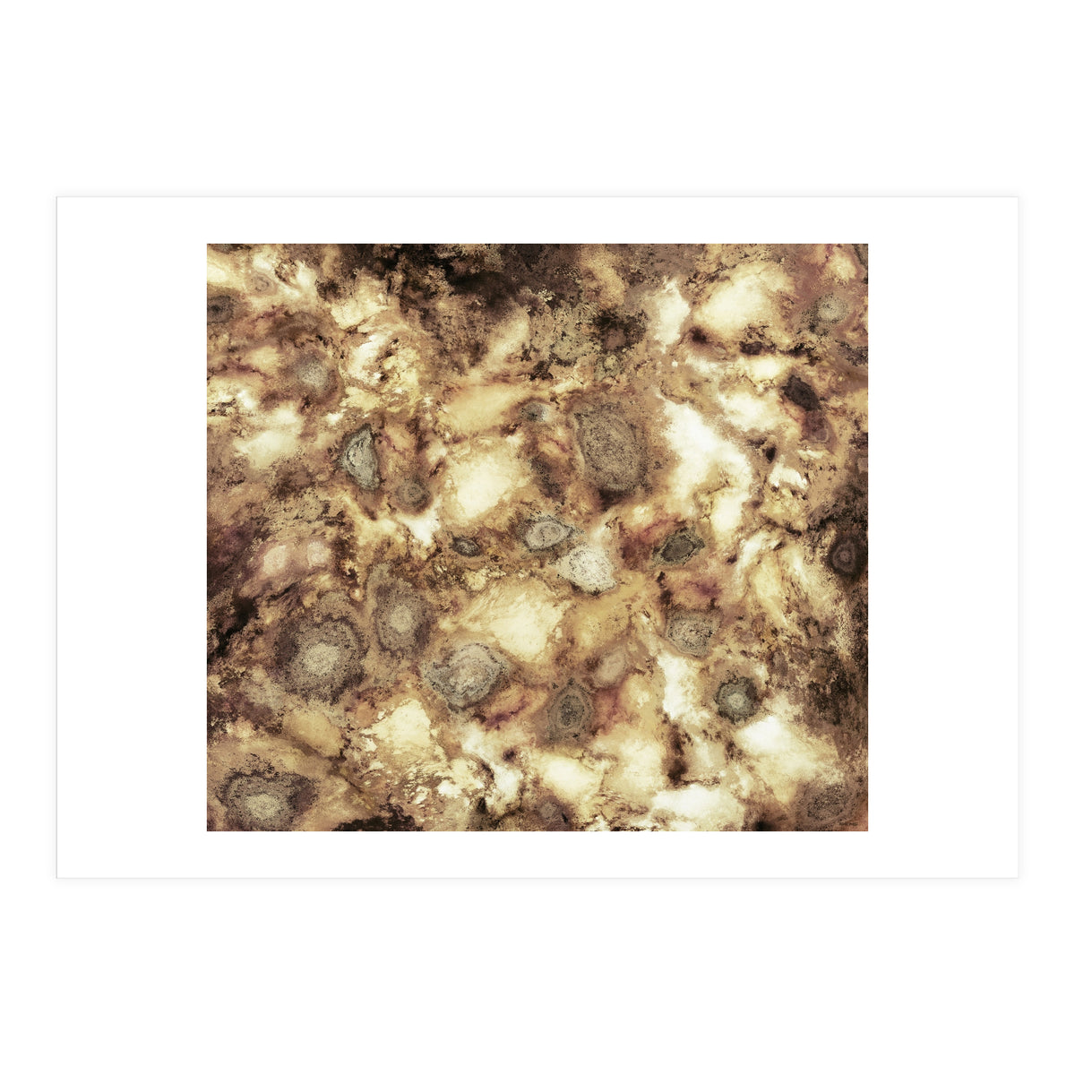 The Hard Crash (Print Only)