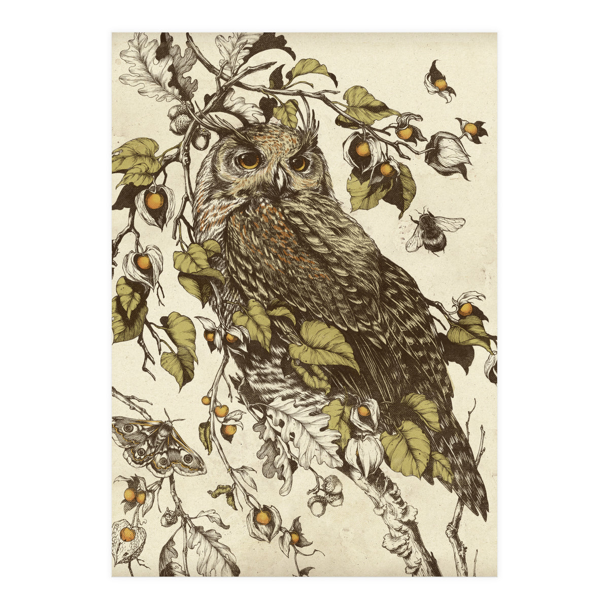 Great Horned Owl (Print Only)