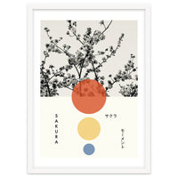 Sakura - Cherry blossom - Japanese - Photography
