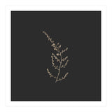 Delicate Golden Fynbos Botanicals on Black - Square (Print Only) thumbnail