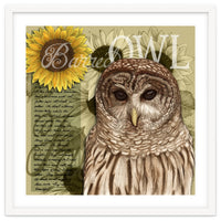 Sunflowers and Barred Owl