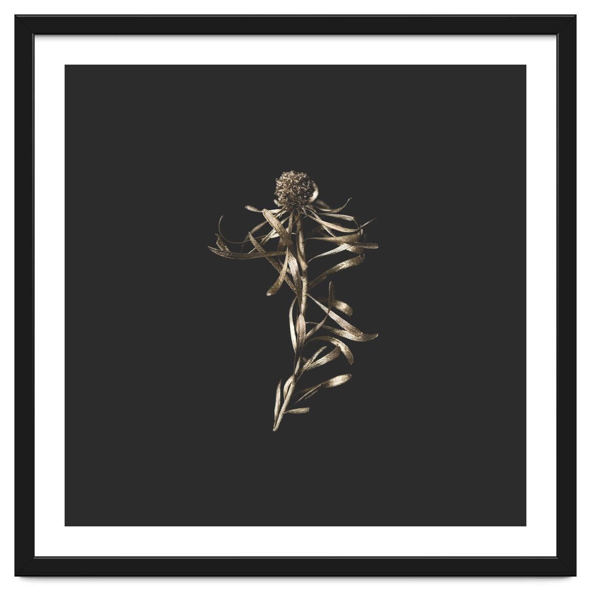 Magical Golden Fynbos - Square