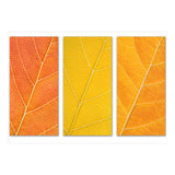 Autumn Leaves (Print Only) thumbnail