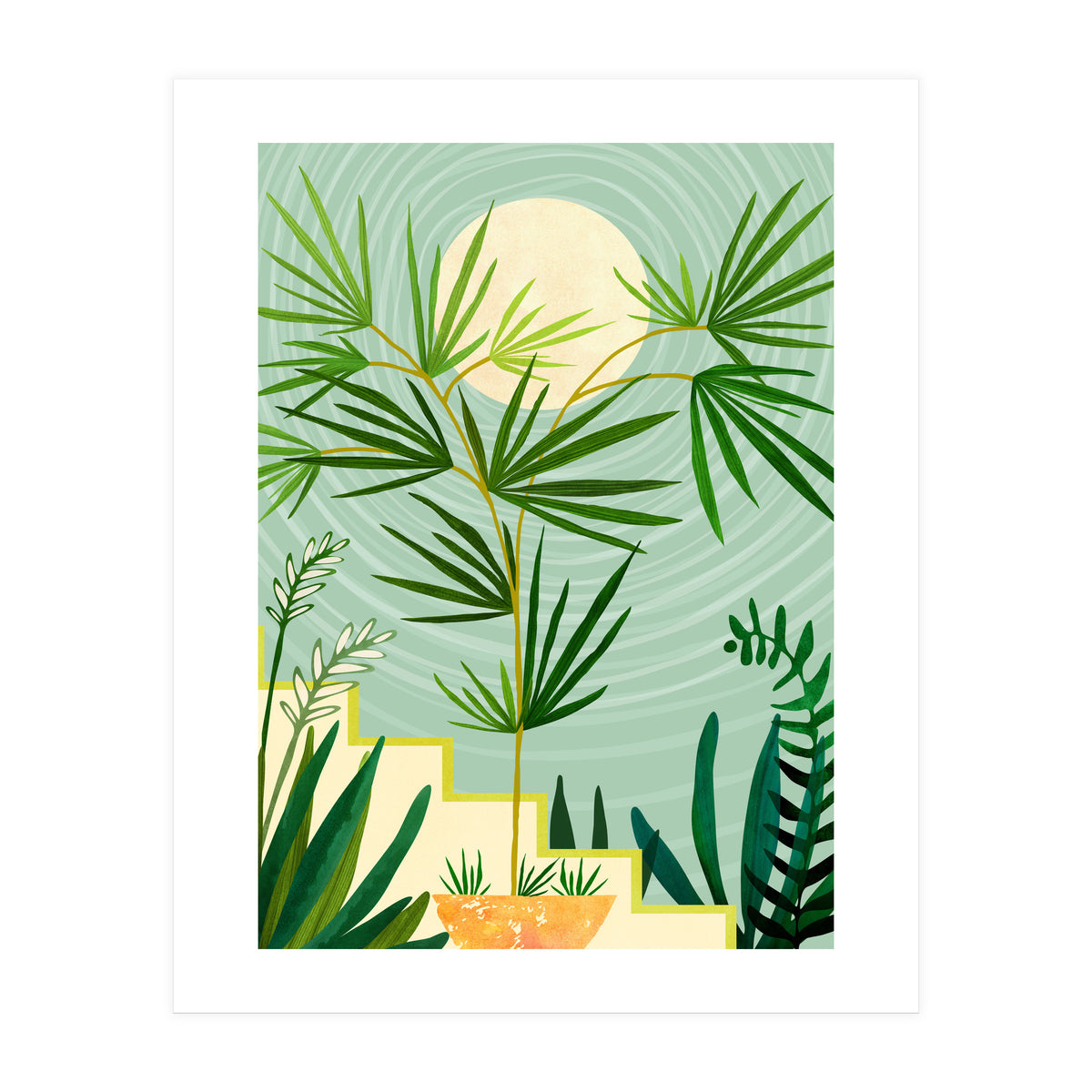 Spring Desert Night (Print Only)