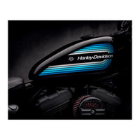 Harley Davidson Detail (Print Only)