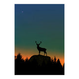 Wild Nature - Dusk (Print Only) thumbnail