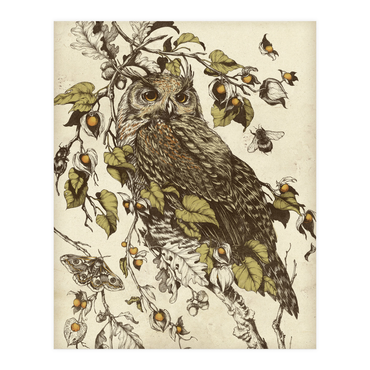 Great Horned Owl (Print Only)