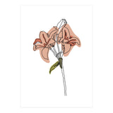 Lily (Print Only) thumbnail