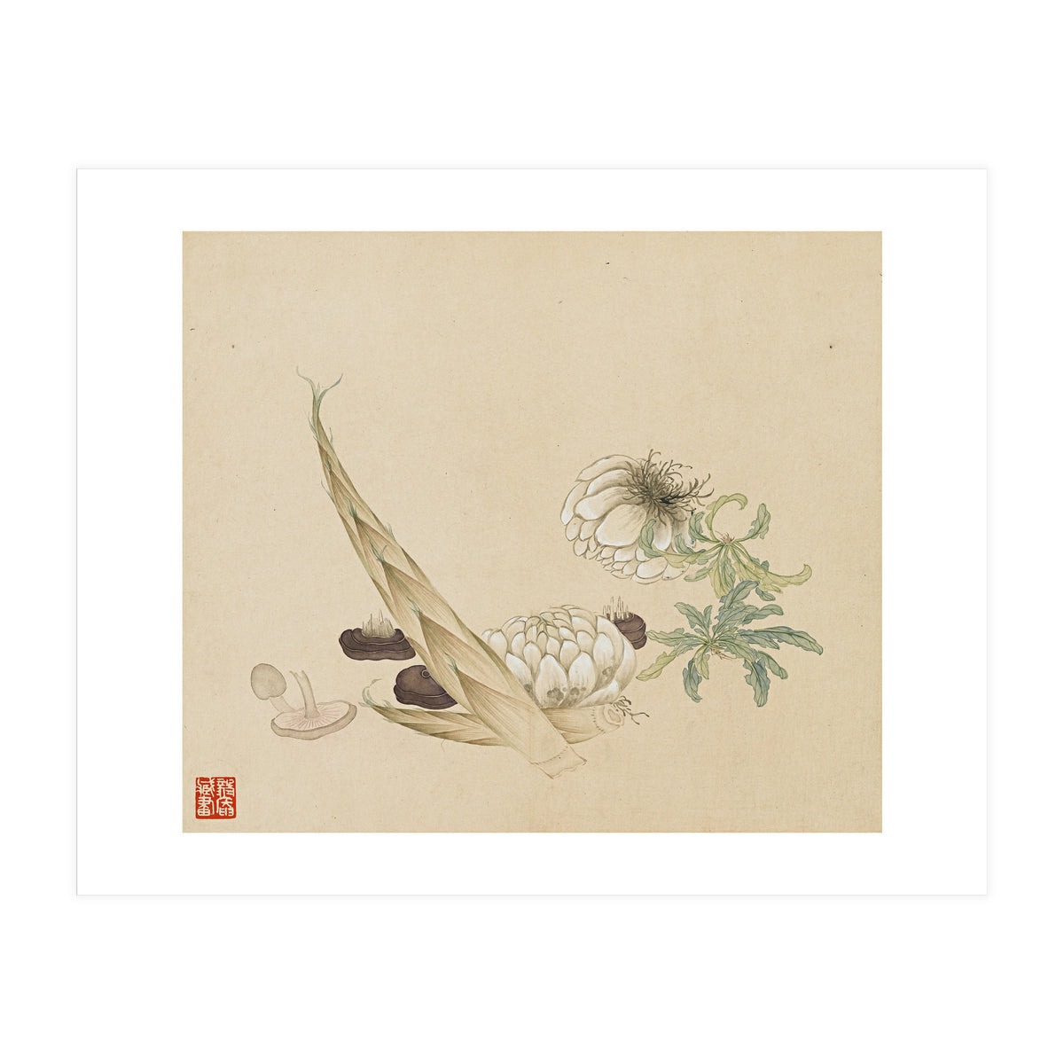 Wang Chengyu ~flowers, Vegetables, Lilies, Bamboo Shoots, Leaves, Mushrooms, Vegetables (Print Only)
