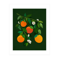 Oranges and Blossoms (Print Only)