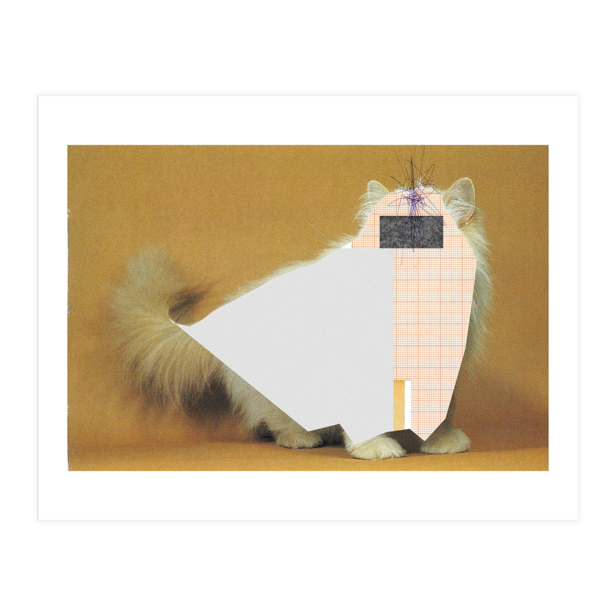 Content Of The Cat 1 (Print Only)