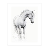 Horse Line Art (Print Only) thumbnail