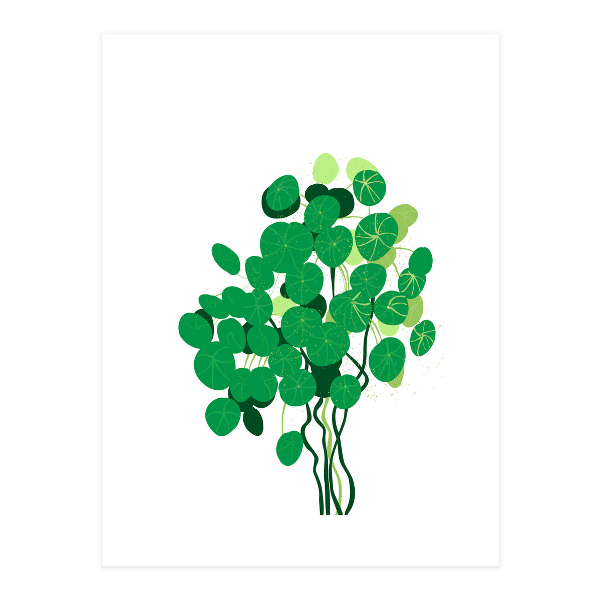 Pilea (Print Only)