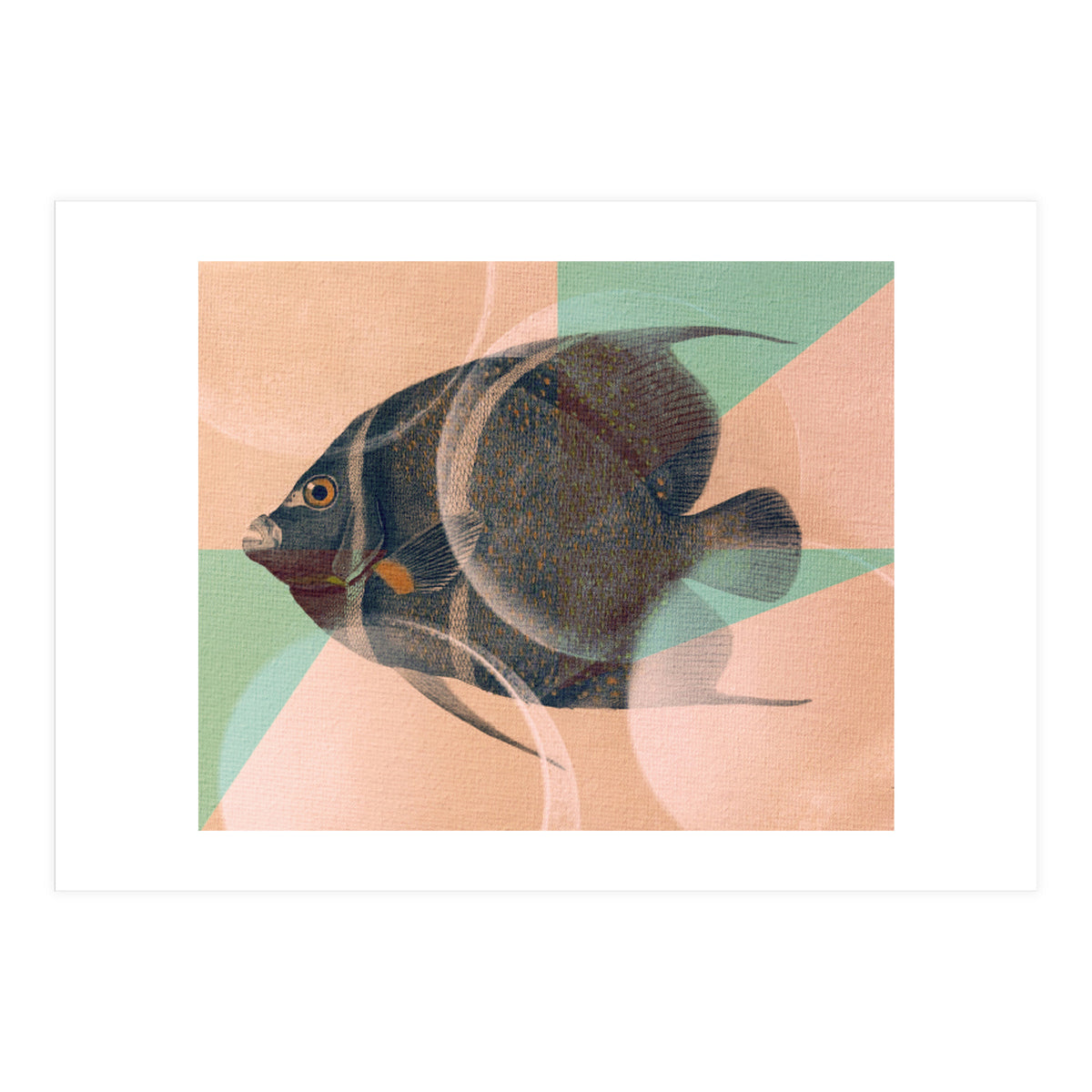 Fish Between Circles 2 (Print Only)