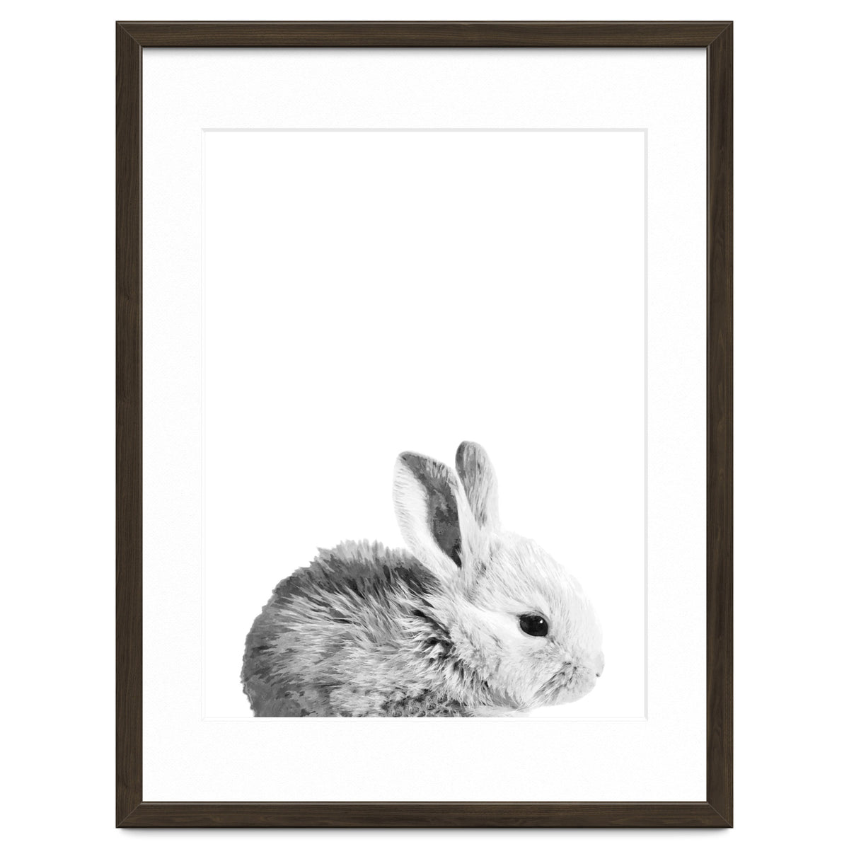 Black and White Bunny Portrait
