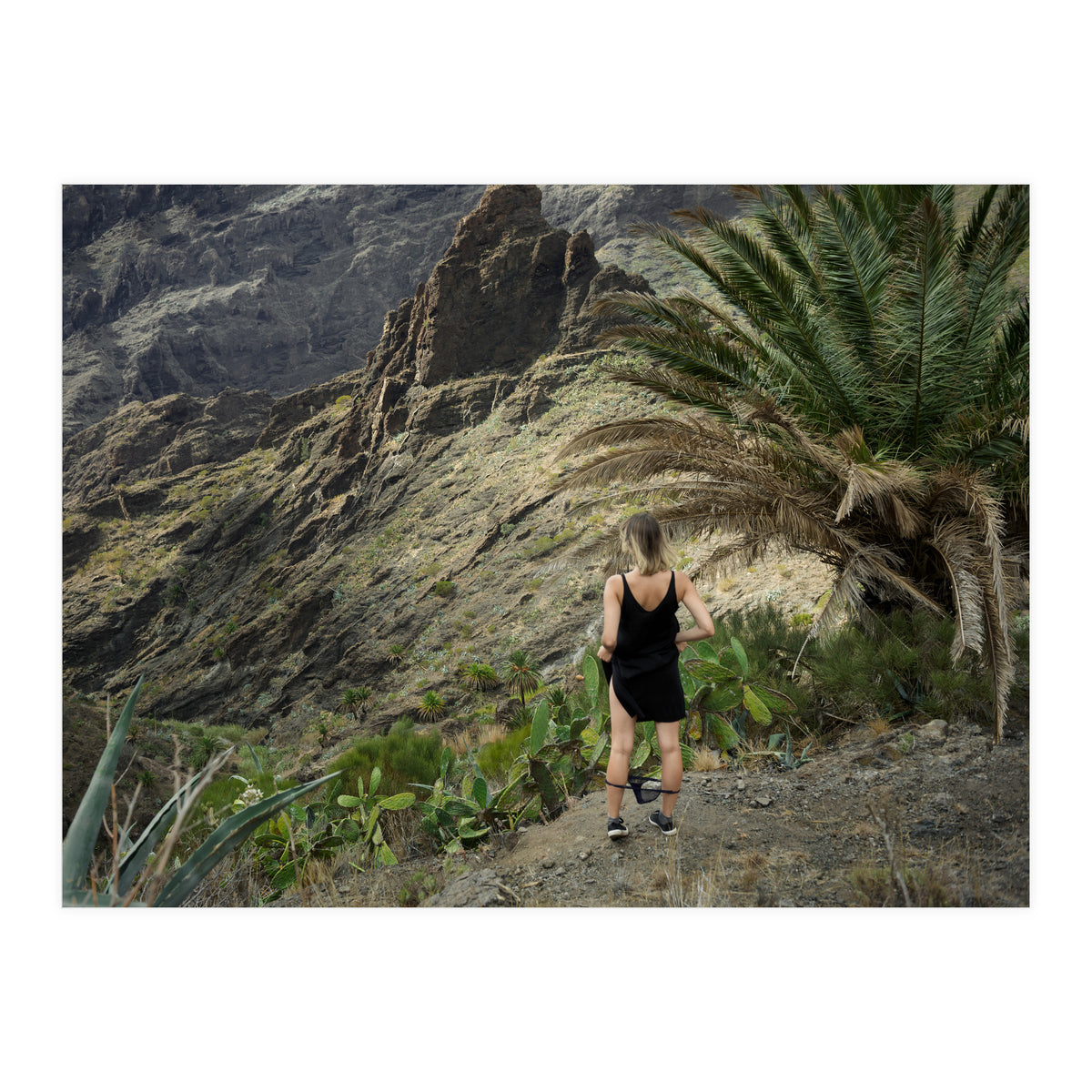 Pirates' Hideout (Print Only)