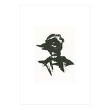 Boy (Print Only) thumbnail