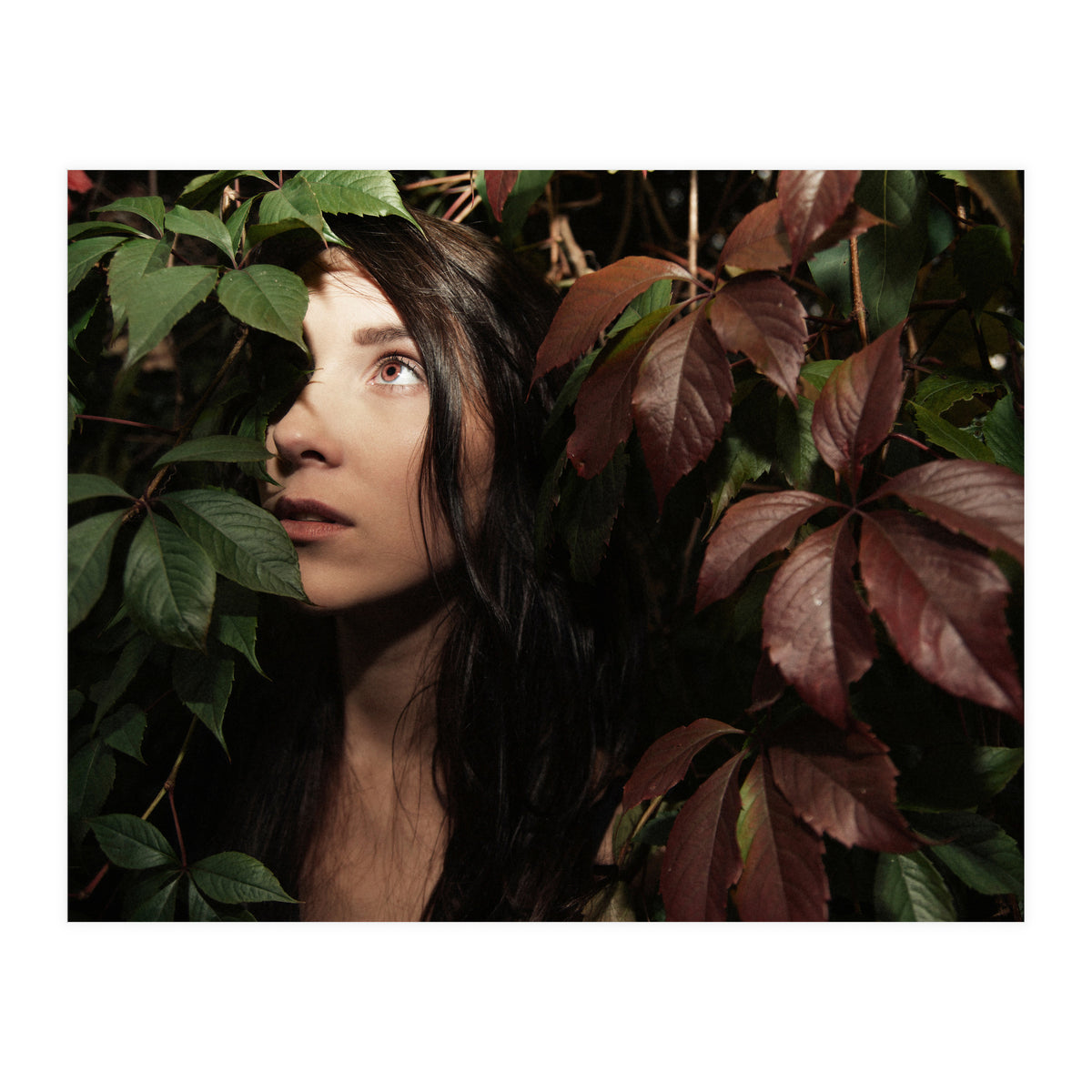 Autumn Portrait (Print Only)