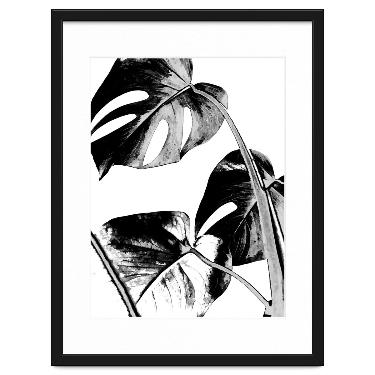 Black Tropical Leaves