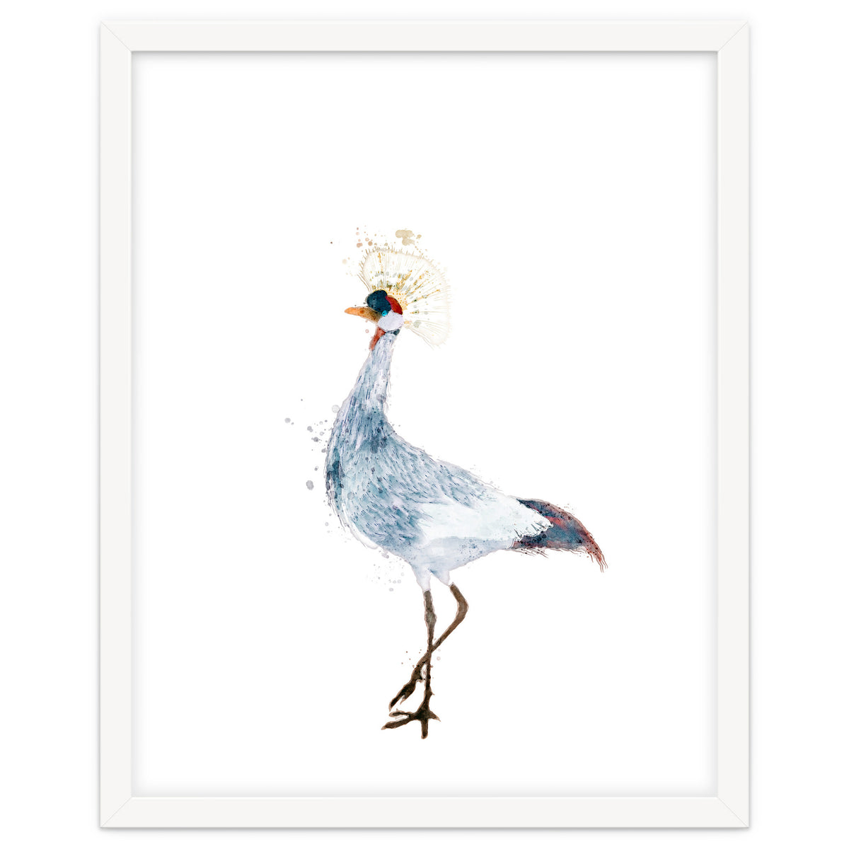 Watercolor Grey Crowned Crane
