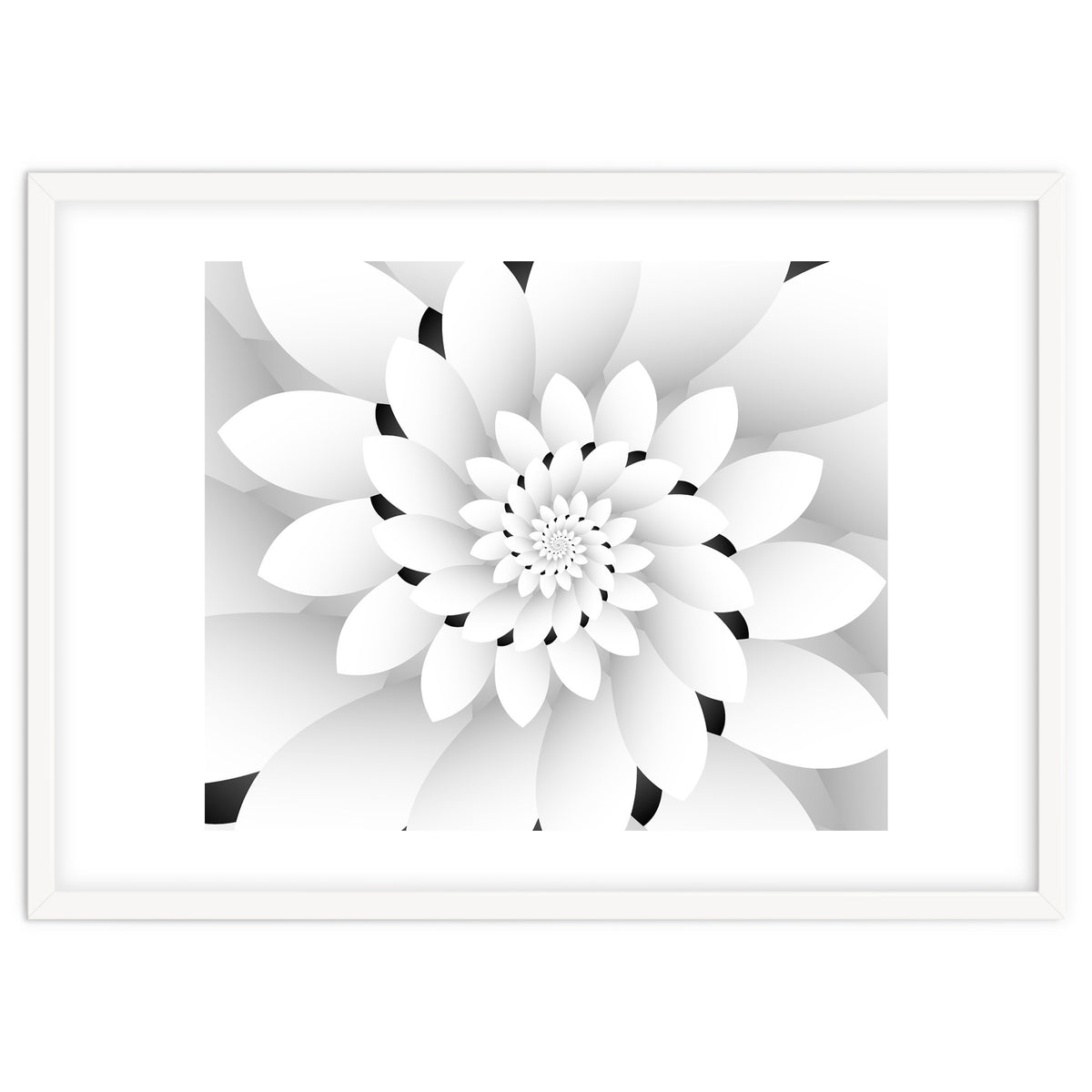 Monochrome Floral Design