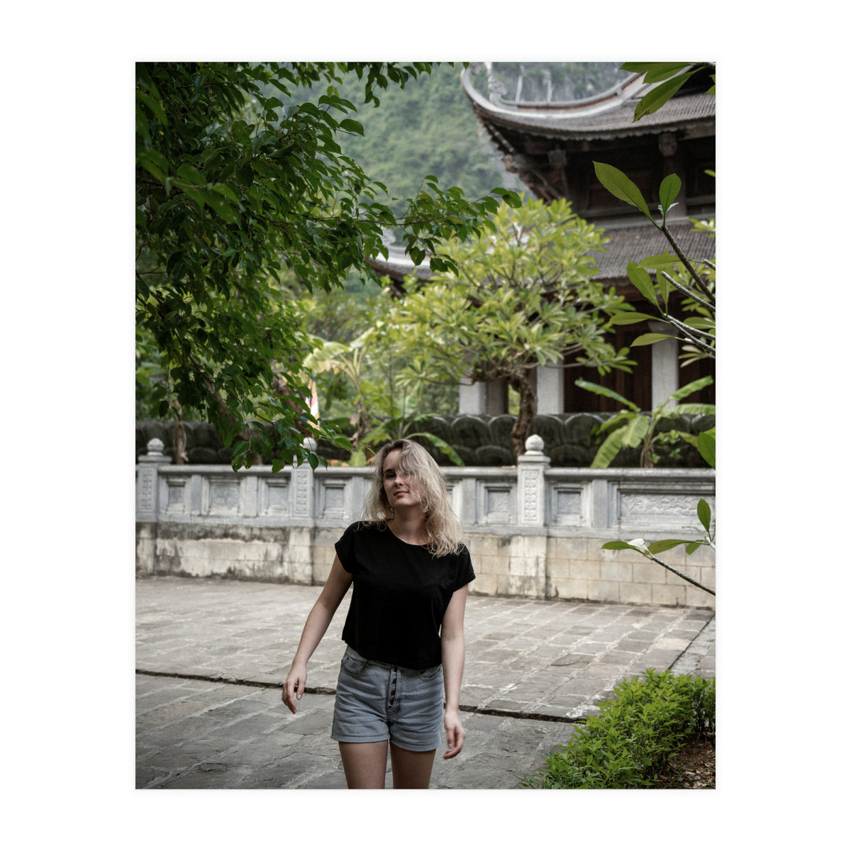 Vietnam Travel (Print Only)