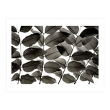 Branches and Leaves I (Print Only) thumbnail