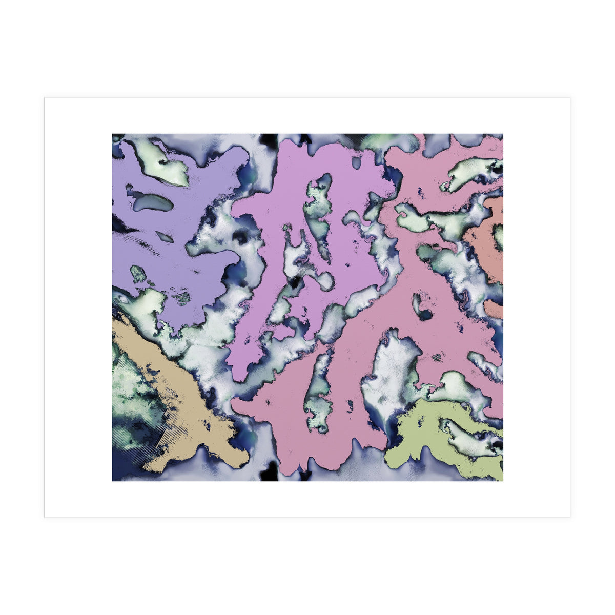 A Soft Choice (Print Only)