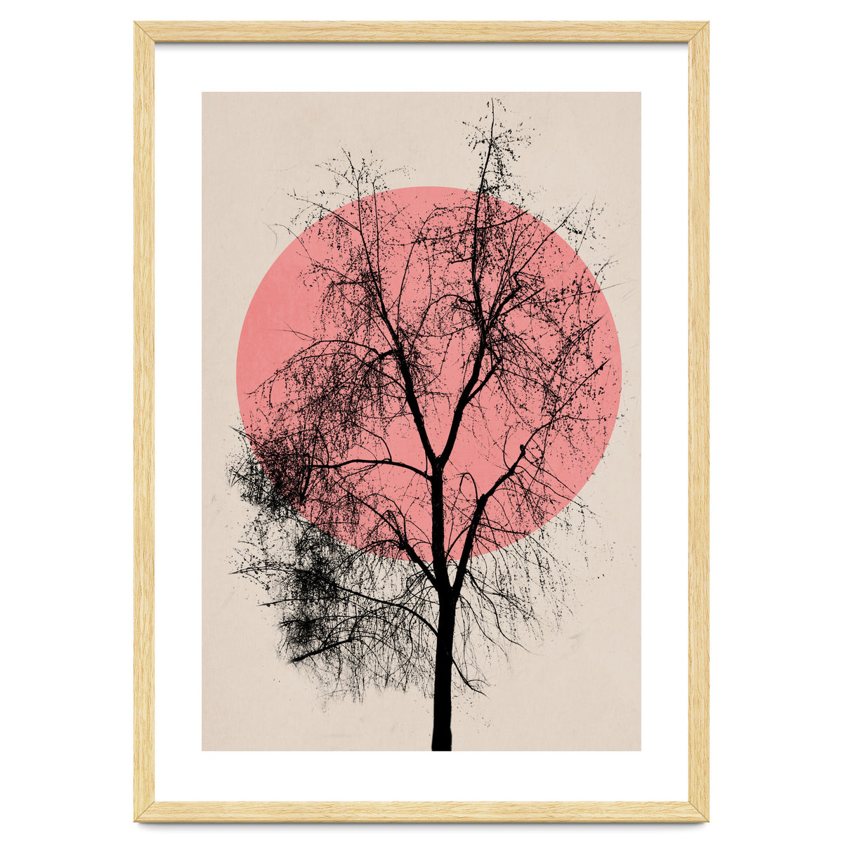 Memories And Moments