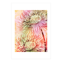 Blooming Flowers (Print Only)