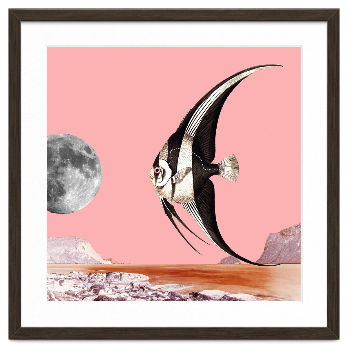 Plenty Of Fish In The Sea Pink