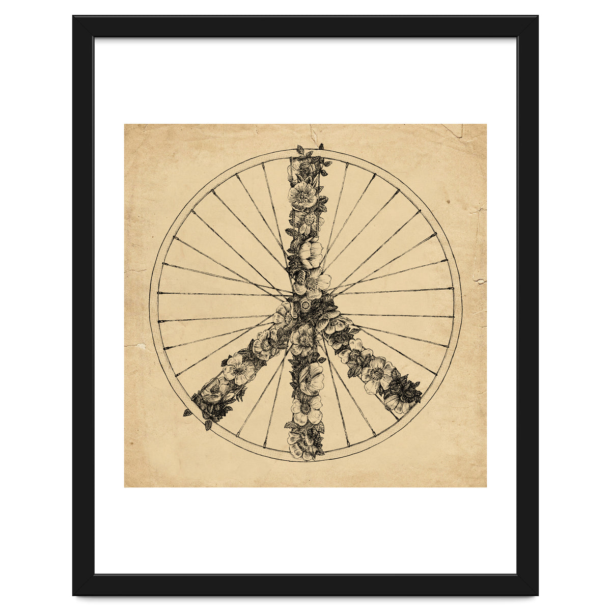 Peace And Bike Lines