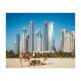 Camel (Print Only) thumbnail