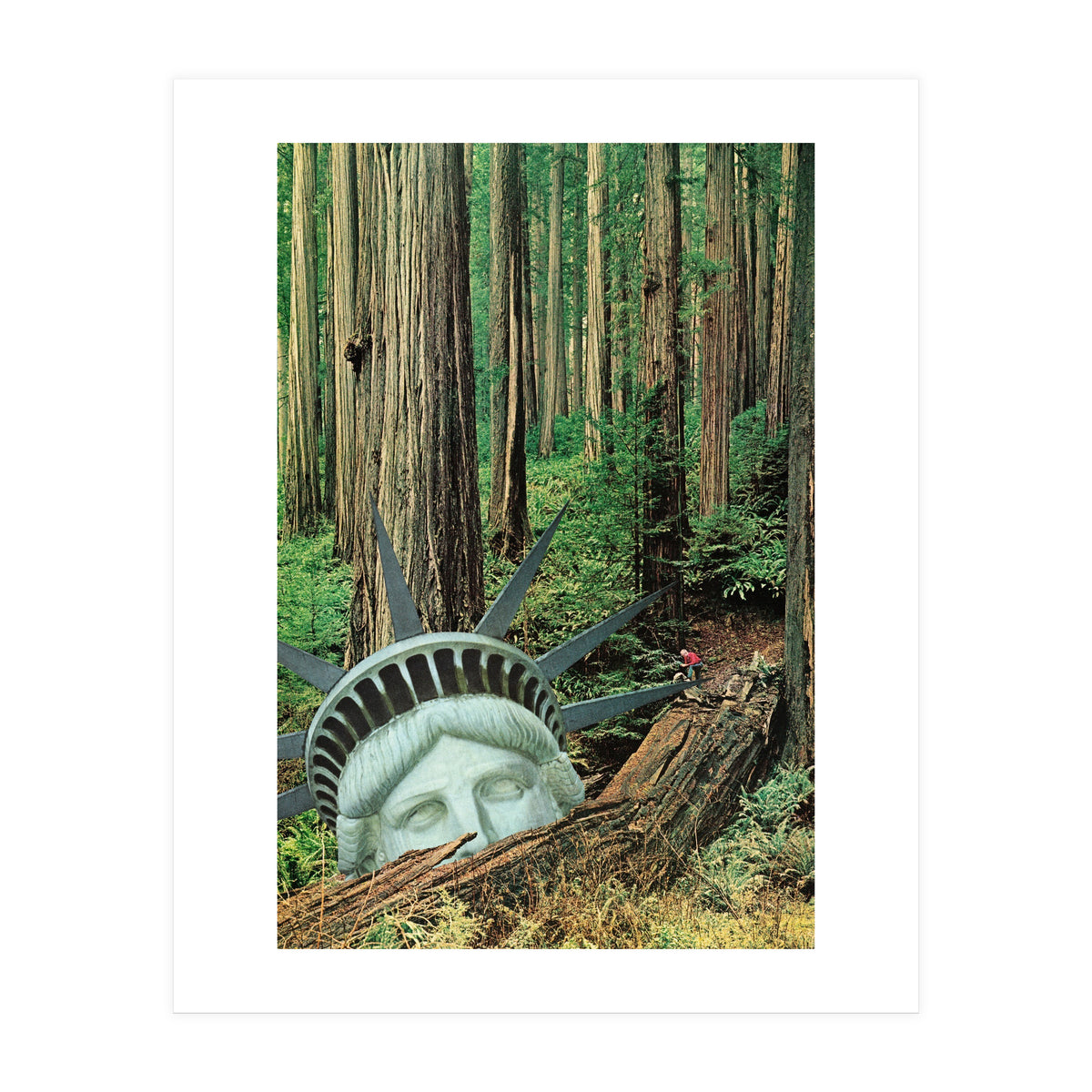 Multiverse (Print Only)