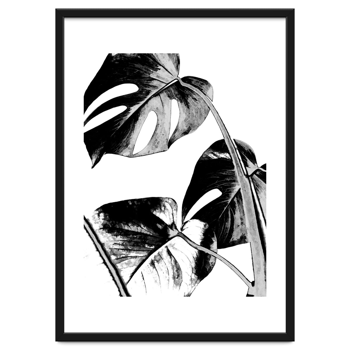 Black Tropical Leaves