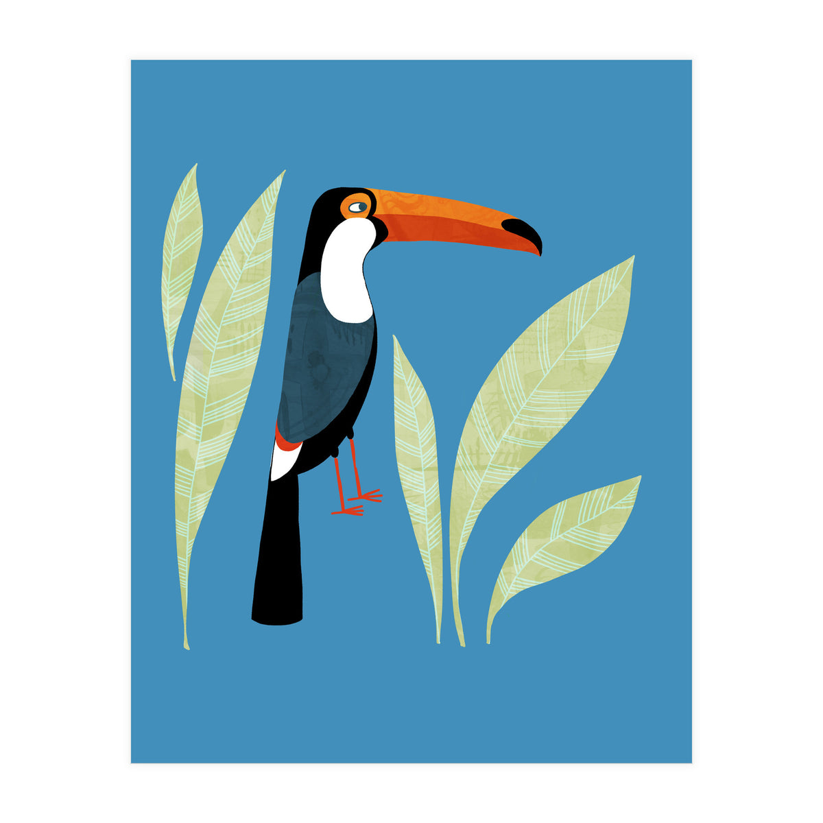Toucan (Print Only)