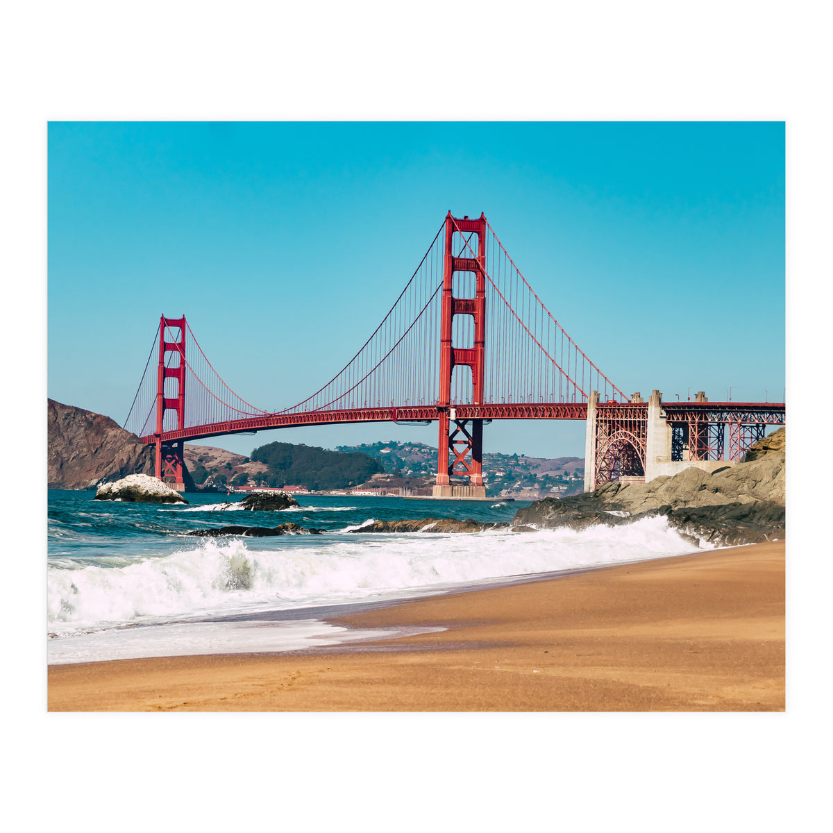 Amaranth (Print Only)