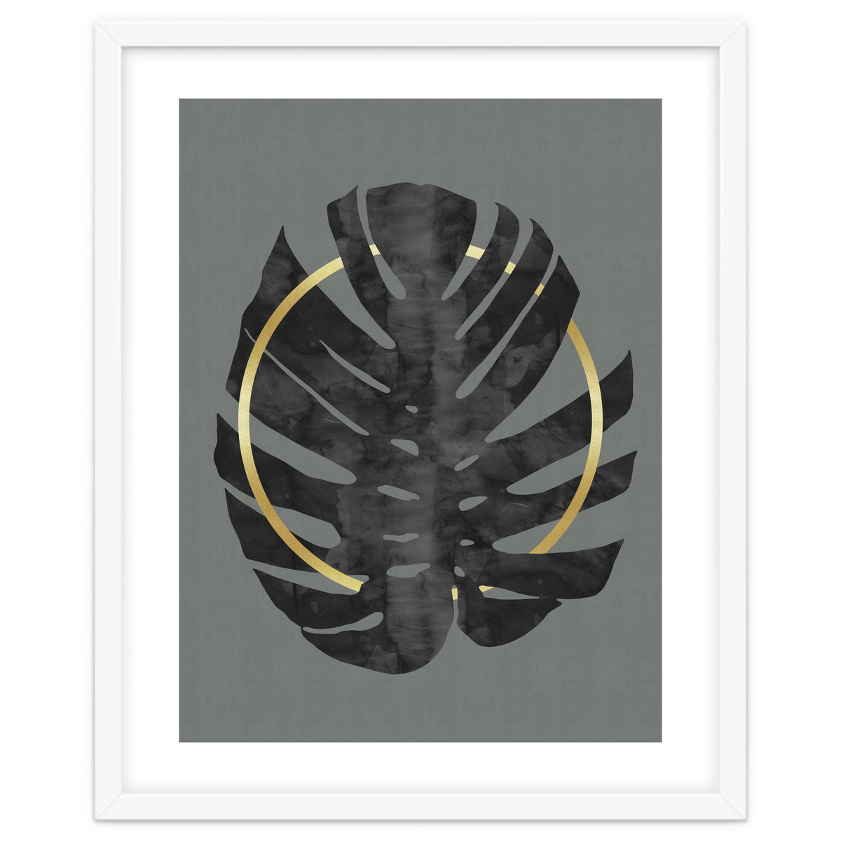 Monstera Deliciosa I