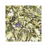 Eroded Reflections (Print Only) thumbnail