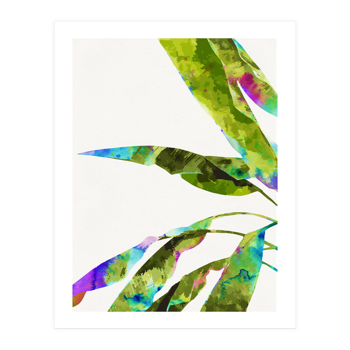 Banana Leaves Holi (Print Only)