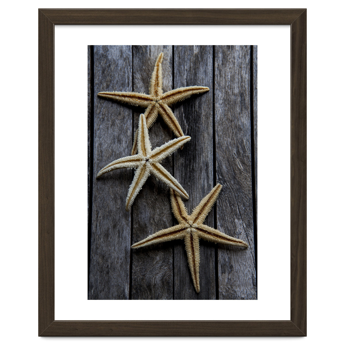 Starfishes in wooden