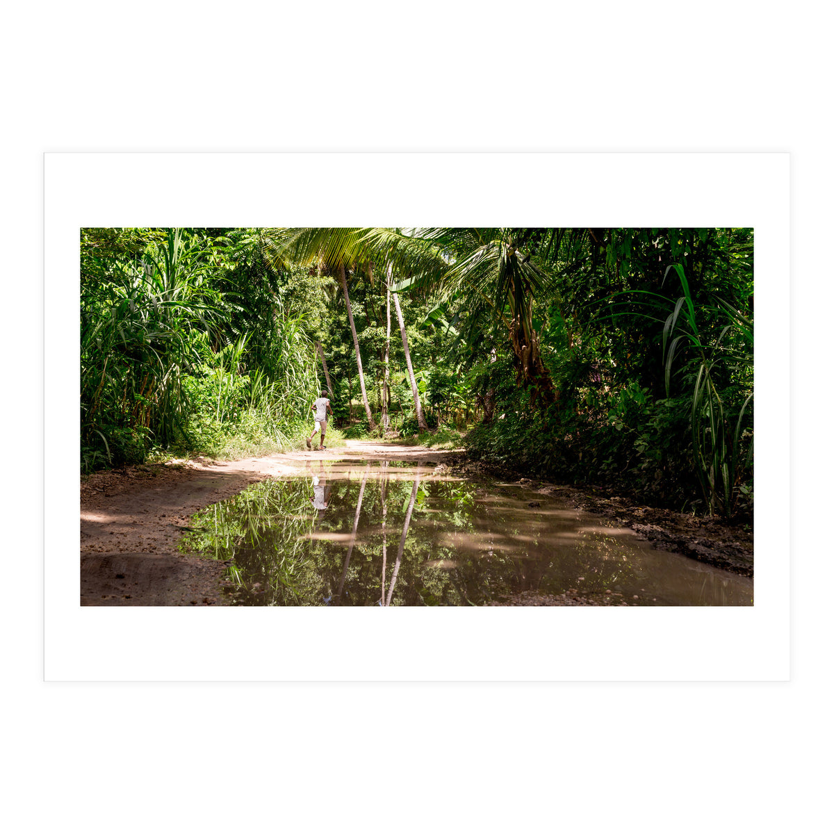 Haitian Bush (Print Only)