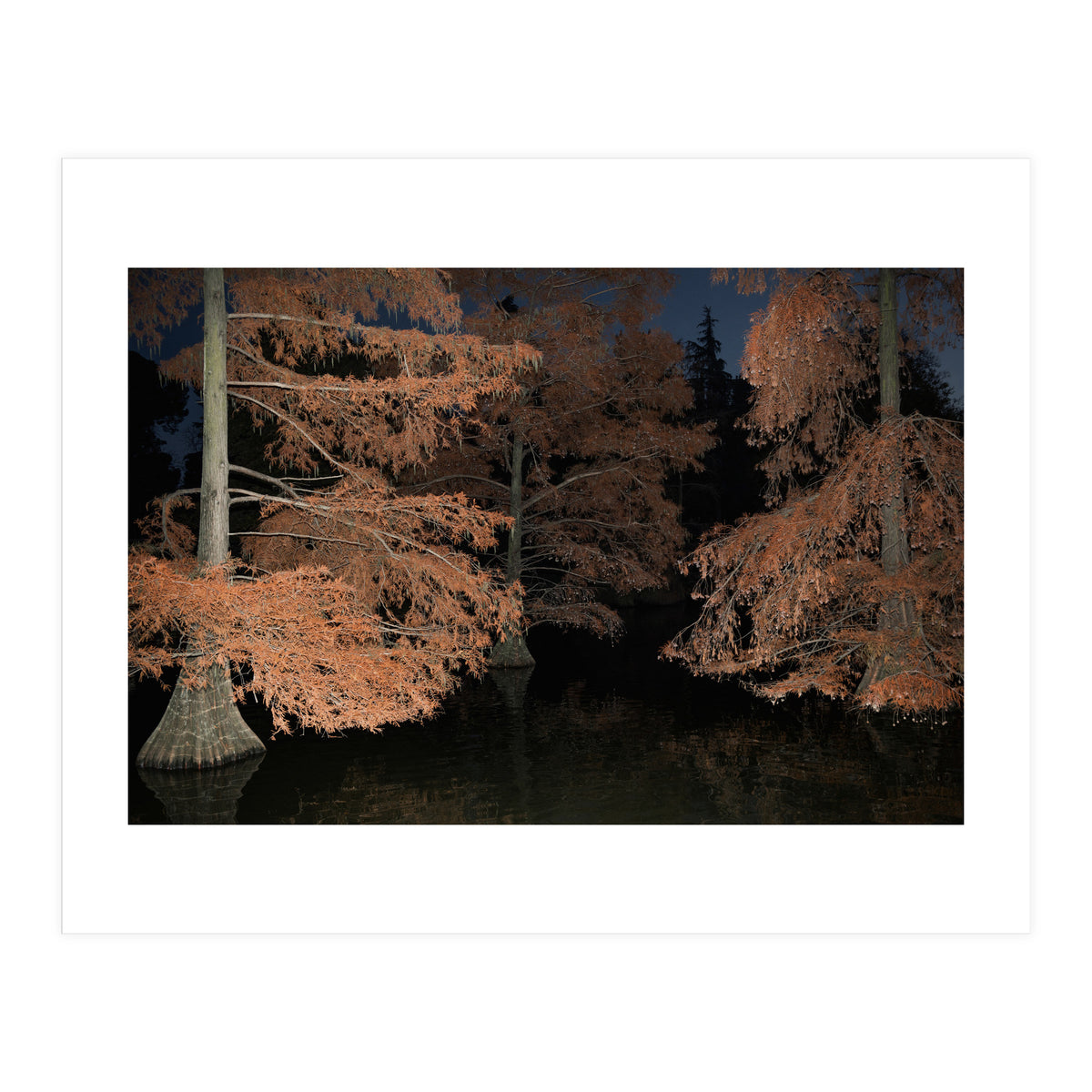 Sleepy Hollow (Print Only)