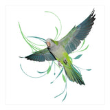 Flying quaker parrot (Print Only) thumbnail