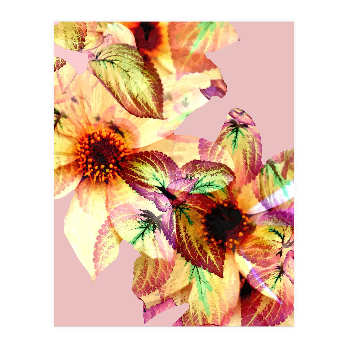 Flower Power (Print Only)