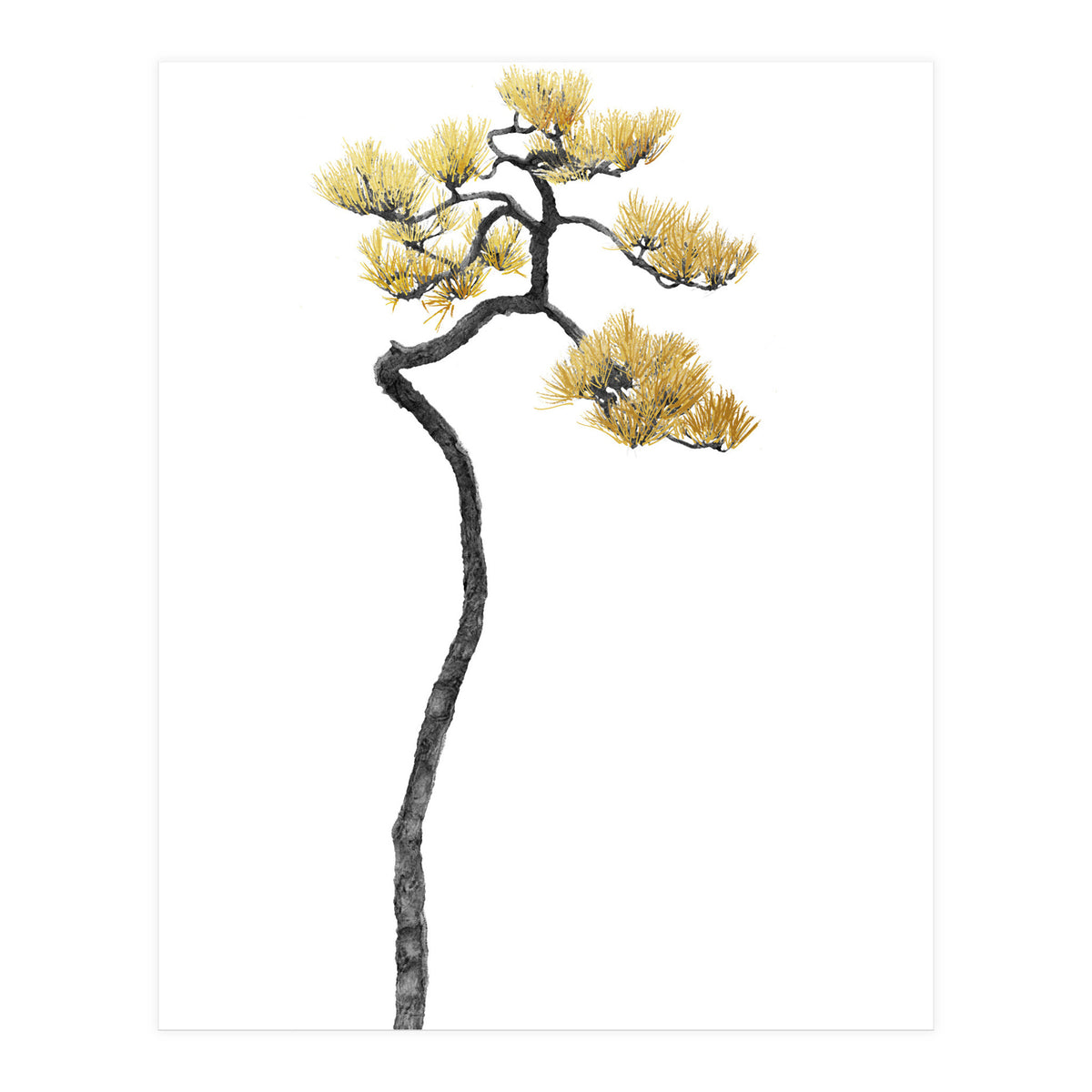 Bonsai Tree 05 (Print Only)